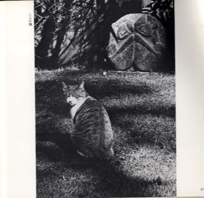 ����������Ħ���ʽ������̿� ����ʹ�ȡ����Խ� ����ƣ��