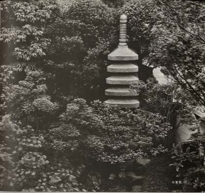 �������ס�Į¤��������Ħ���ʽ����Խ�������ƣ��