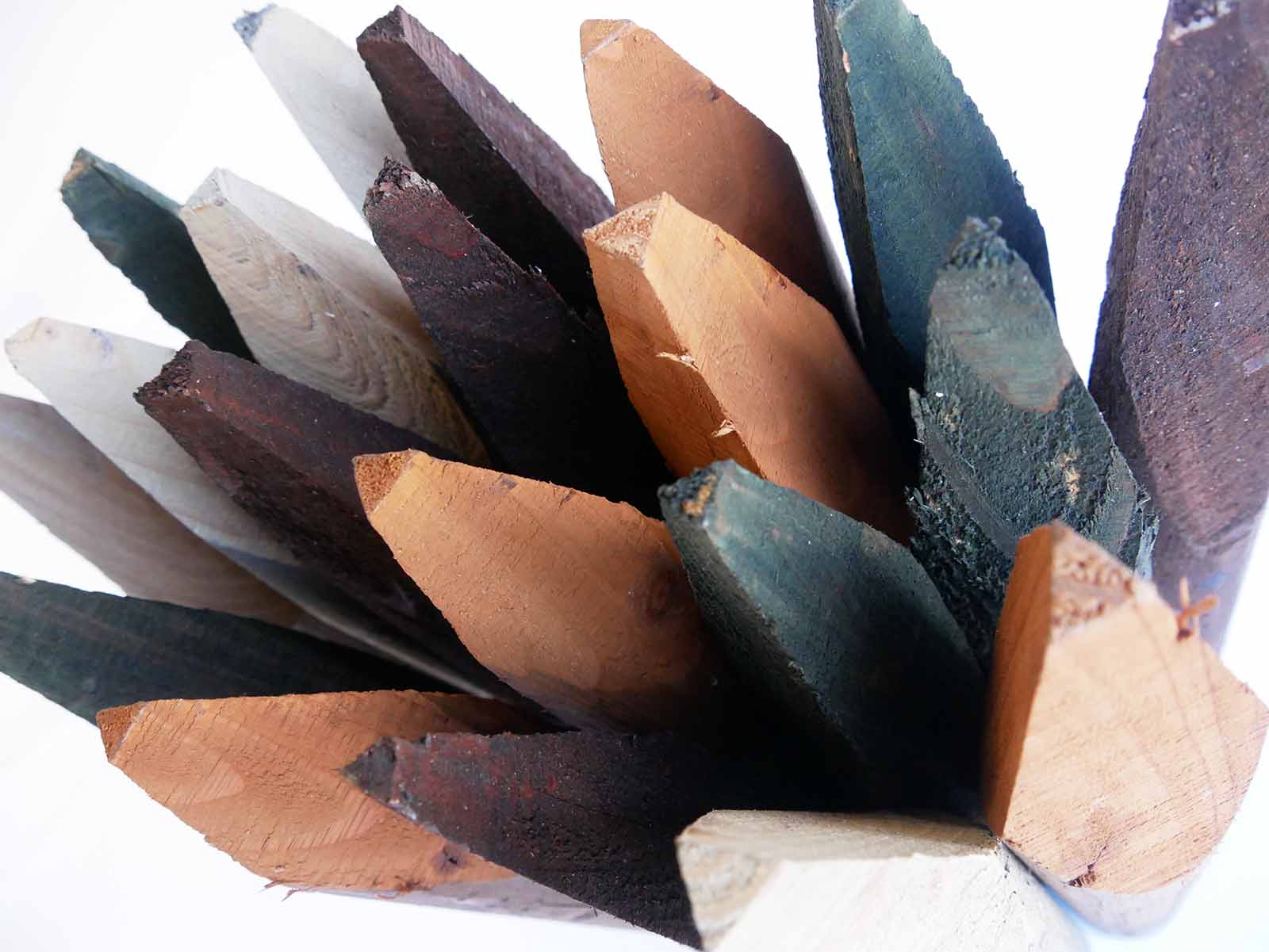 ���顼������(��ɰ)����500 mm����60mm �����դ���9�ܥ��ĥȡڿ�������ǲ�������