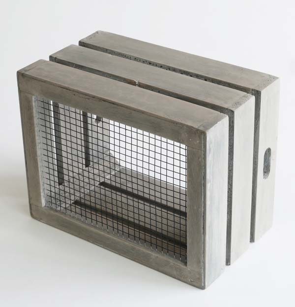 ߡܥå ȥ꡼Ĵ åɥåߥ˥ܥå