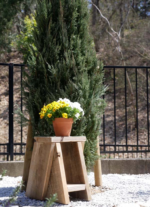 �����������ۡ��ڤΥ��ġ���ۤĤʤ��륬���ǥ󥹥ġ��롡�Ĥʤ��ȥ٥����ŷ���� �� ������ ���⥹�ġ��롡Ƨ����