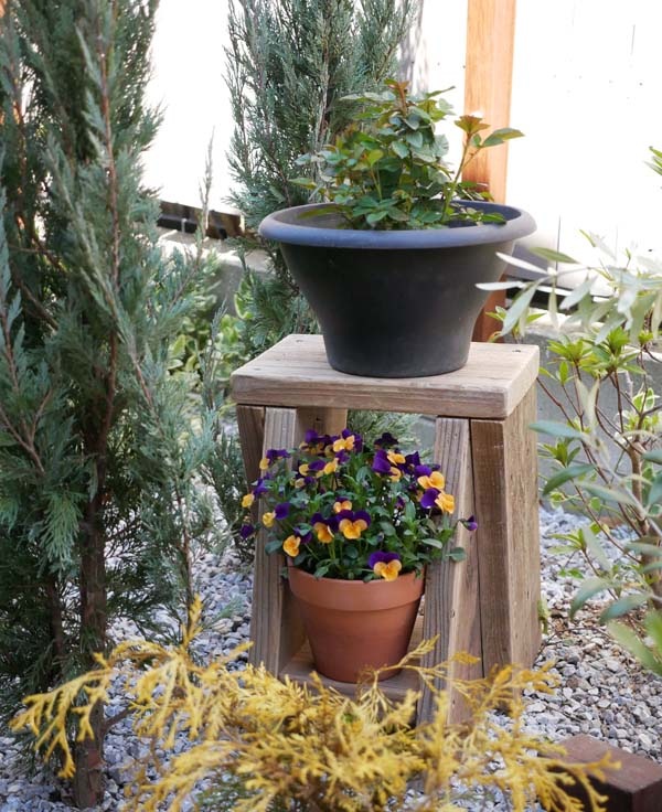 �����������ۡ��ڤΥ��ġ���ۤĤʤ��륬���ǥ󥹥ġ��롡�Ĥʤ��ȥ٥����ŷ���� �� ������ ���⥹�ġ��롡Ƨ����