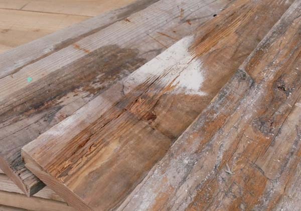 ­ĥơSS  200mm35mmĹ1000mmڸʡ