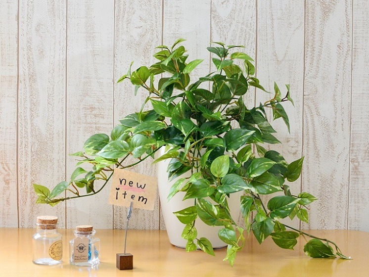 人工観葉植物テーブルポトス 造花 Udd触媒加工 花言葉 永遠の富 ギフト 3780円 観葉植物 インテリアグリーン 消臭 抗ウイルス 防菌 防カビ お手入れはいりません