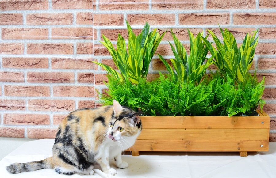 人工観葉植物　ウッドプランター　【触媒加工】【送料込み価格6980円】【オフィスグリーン】【フェイクグリーンプランター】