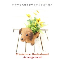 ラブリーフラワーアレンジメント/ダックスフンド/フラワー/ドッグ/アートフラワー/アレンジメント/母の日ギフト/お祝/ラッピング無料/可愛い/ペット/お誕生日/ギフト/犬/ビオラ/イエロー/動物カゴ/