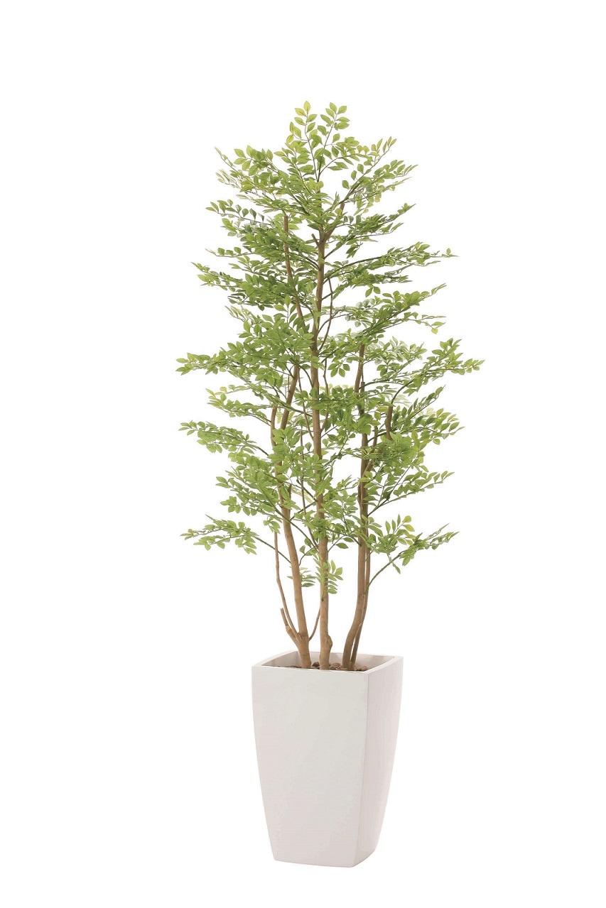 】【人工観葉植物】【アーバンゴールデンリーフ】【1.8ｍ】【光触媒加工】【送料無料】【フェイクグリーン】【アーバンゴールデンリーフ1.8】【代引き不可】