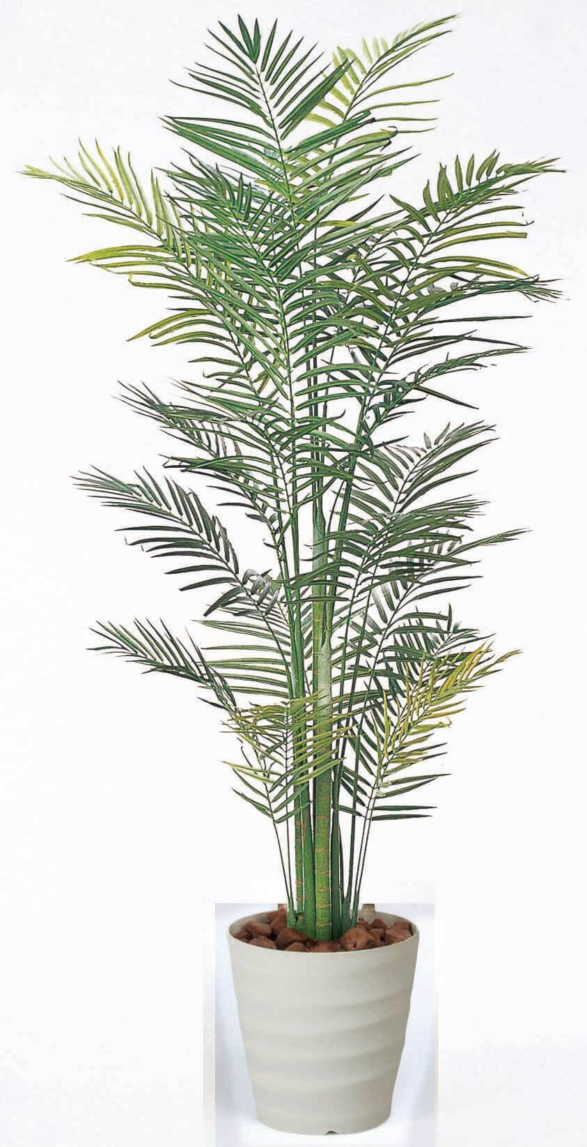 【人工観葉植物】【トロピカルアレカパーム】【1.8ｍ】【光触媒加工】【送料無料】【フェイクグリーン】【トロピカルアレカパーム1.8】【代引き不可】