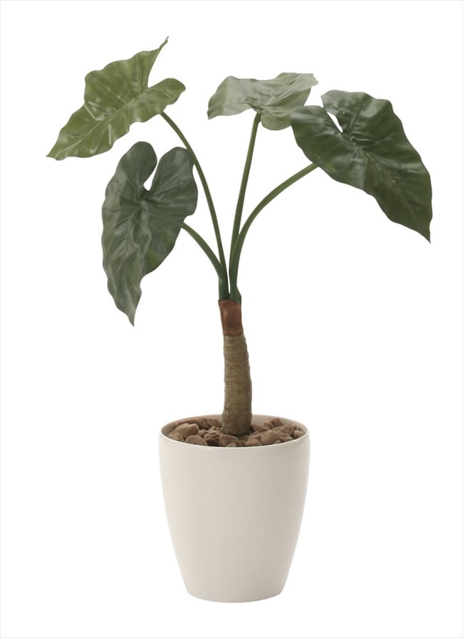 【人工観葉植物】【くわず芋】【78ｃｍ】【光触媒加工】【送料無料】【フェイクグリーン】【くわず芋78】【代引き不可】