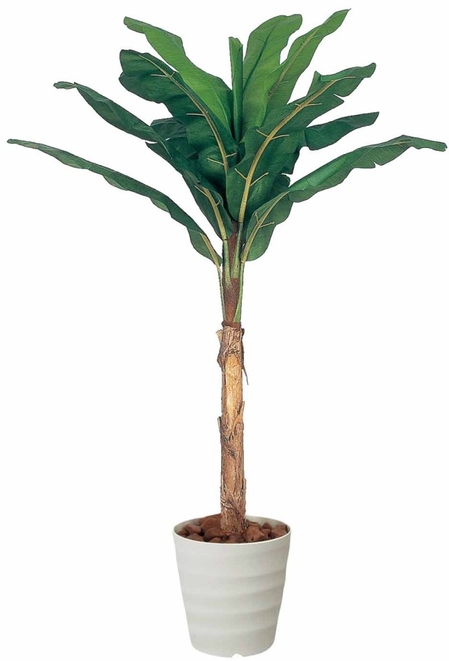 【人工観葉植物】【バナナ】【2.0m】【光触媒加工】【送料無料】【フェイクグリーン】【バナナ2.0】【代引き不可】