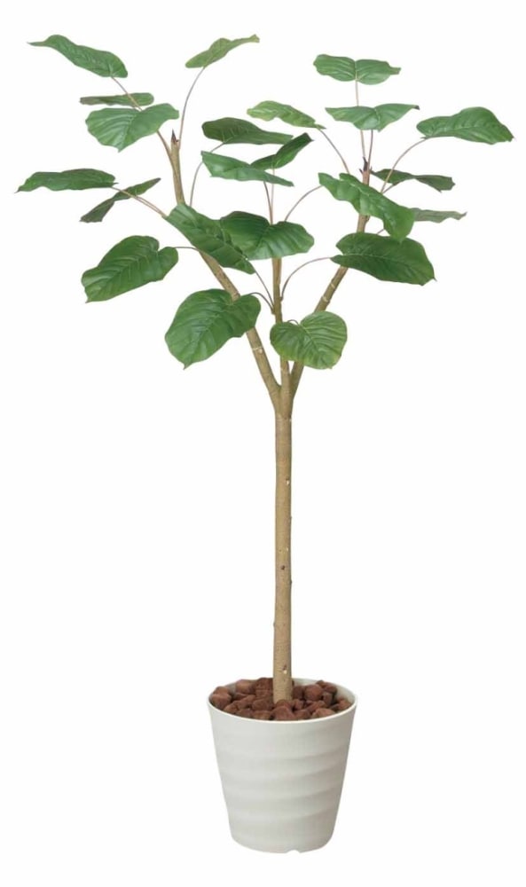 【人工観葉植物】【ウンベラータ】【1.8ｍ】【光触媒加工】【送料無料】【フェイクグリーン】【ウンベラータ1.8】【代引き不可】