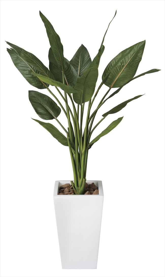 【人工観葉植物】【ストレチアW】【1.3ｍ】【光触媒加工】【送料無料】【フェイクグリーン】【ストレチアW1.3】【代引き不可】