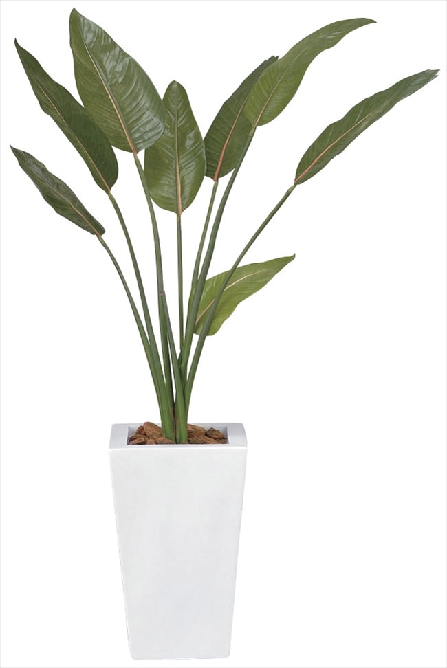 光触媒　人工観葉植物　ウォールグリーン　フェイクグリーン　ストレチア1.6 人工観葉植物 フェイクグリーン ストレリチア 観葉植物 造花