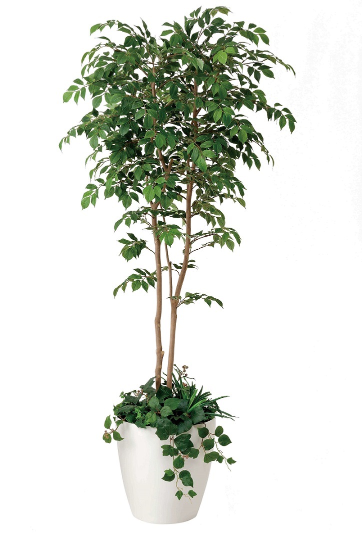 【人工観葉植物】【マウンテンアッシュ】【1.8ｍ】【光触媒加工】【送料無料】【フェイクグリーン】【マウンテンアッシュ1.8植栽付】【代引き不可】