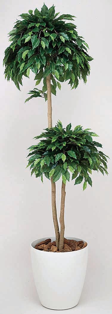 【人工観葉植物】【ベンジャミンダブル】【1.8ｍ】【光触媒加工】【送料無料】【フェイクグリーン】【ベンジャミンダブル1.8】【代引き不可】