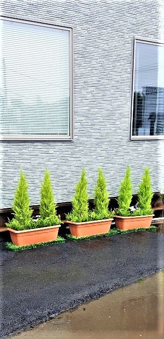 人工観葉植物 ゴールドクレスト2本立ち ゴールドクレストプランター 屋外使用可 送料無料 造花 人工観葉植物 ゴールドクレスト2本立ち ゴールドクレストプランター 屋外使用可 送料無料 造花