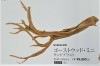 【ディスプレイ】【砂漠の枝】【生木】【ゴールドウッド】【流木】【送料無料】代引き不可 幅60ｃｍ|造花/季節・パーツ・単品・特大等