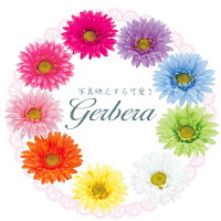 ガーベラ　9色からお選びください