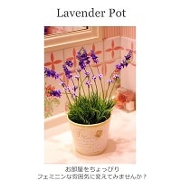 ラベンダーポット 造花