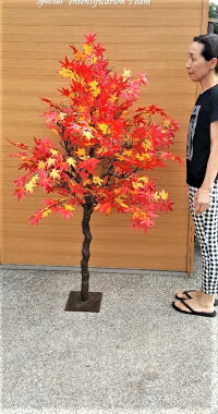 ※誠に申し訳ございませんが、一部地域にて別途配送料金がかかります。【九州・四国・中国+900円 　　北海道+1200円 沖縄・離島+2500円】