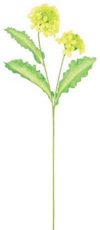 造花菜の花24本セット　卸売り対象商品