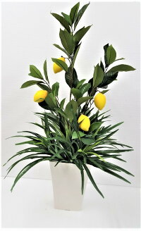 人工観葉植物　レモンの木　レモンツリー　屋外使用可　送料無料　触媒加工品