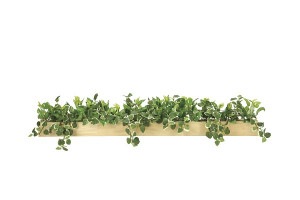 人工観葉植物