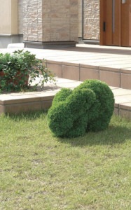 人工観葉植物