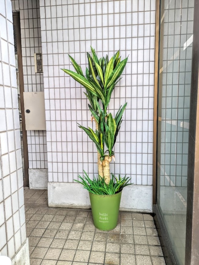 人工観葉植物　ドラセナ　幸福の木1.5ｍ　触媒加工　送料無料　お洒落な鉢カバー付き