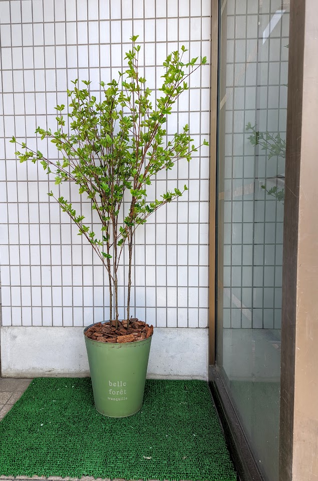 zfk-3 人工観葉植物　　ドウダンツツジ鉢植え1.4ｍ　フェイクグリーン　ダイヤモンド触媒加工　送料無料 観葉植物　ディスプレイ　カフェディスプレイ　商業施設　オシャレ　枯れない　お手入れ簡単　触媒　フェイク　グリーン　造花　綺麗　鉢植え　大型　ナチュラル