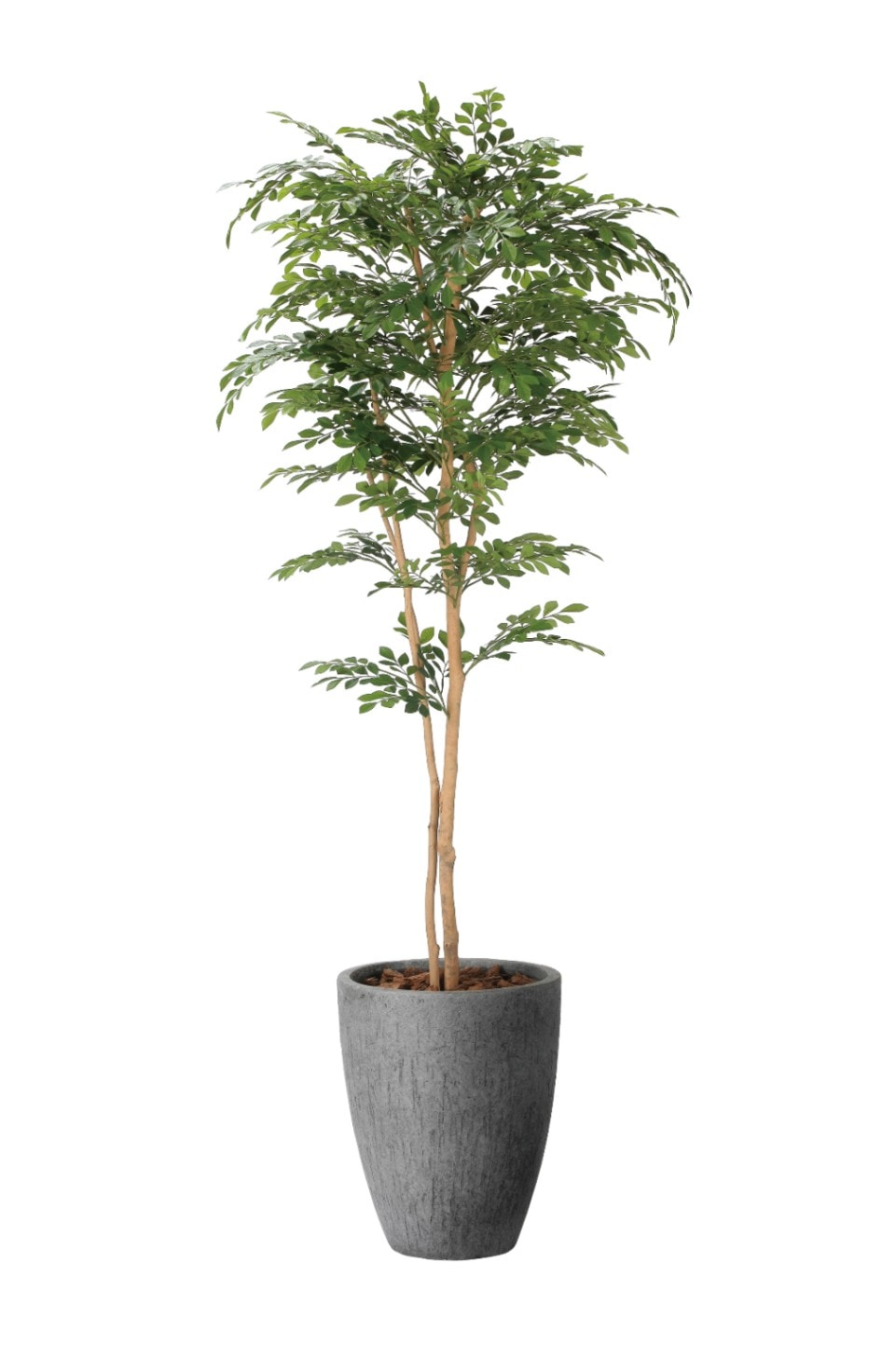 人工観葉植物　光触媒　　　トネリコ1.8ｍ　フェイクグリーン 送料無料