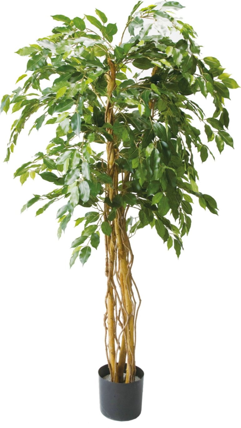 コピー人工観葉植物　フェイクグリーン　ドウダンツツジ2.1ｍ　大型グリーン