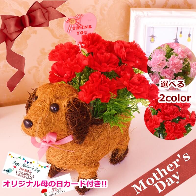 母の日ギフト 送料無料/母の日/造花/ワンチャンアレンジメント/可愛い/カーネーション/贈り物/お花/ペット/選べる2カラー/母の日ギフト/アーティシャルフラワー/カーネーション/鉢/お手入れ不要/ワンチャンバスケット