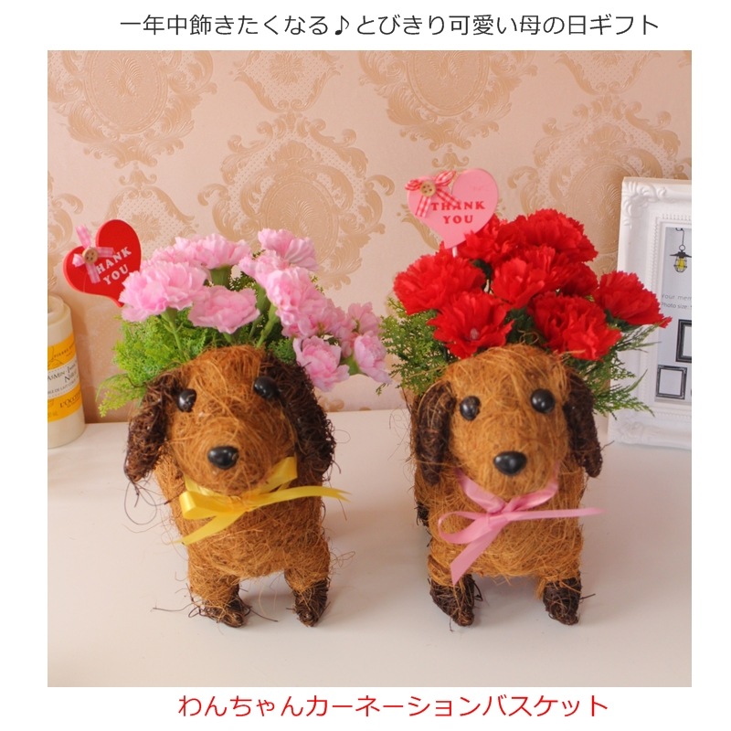 母の日ギフト 送料無料/母の日/造花/ワンチャンアレンジメント/可愛い/カーネーション/贈り物/お花/ペット/選べる2カラー/母の日ギフト/アーティシャルフラワー/カーネーション/鉢/お手入れ不要/ワンチャンバスケット