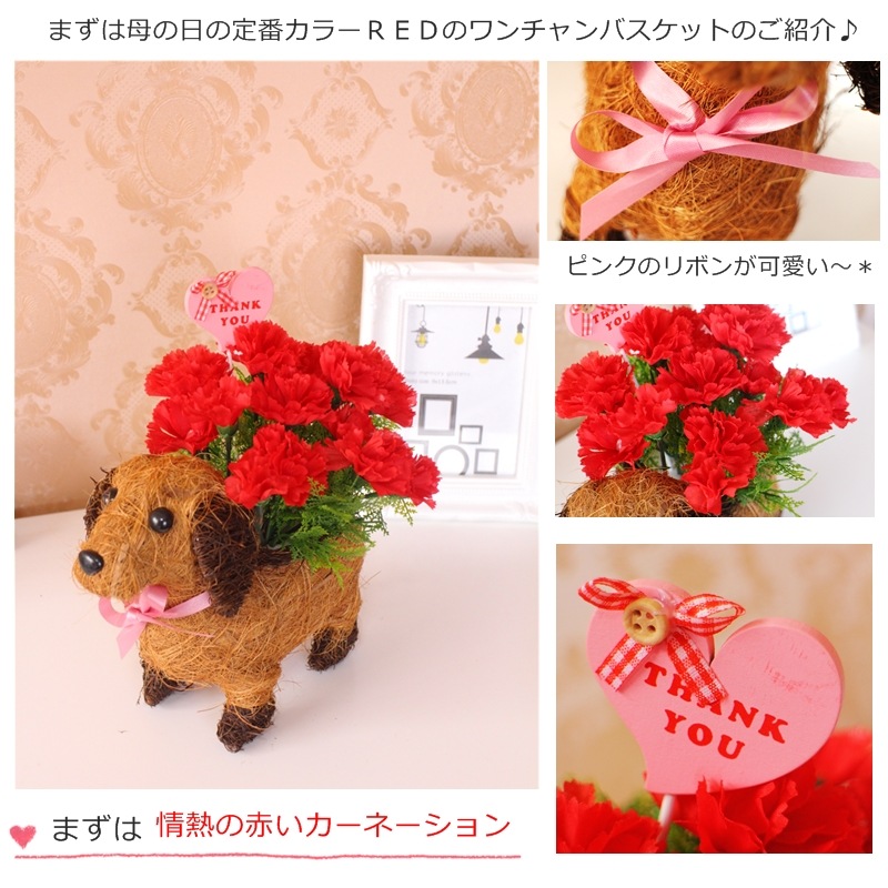 母の日ギフト 送料無料/母の日/造花/ワンチャンアレンジメント/可愛い/カーネーション/贈り物/お花/ペット/選べる2カラー/母の日ギフト/アーティシャルフラワー/カーネーション/鉢/お手入れ不要/ワンチャンバスケット