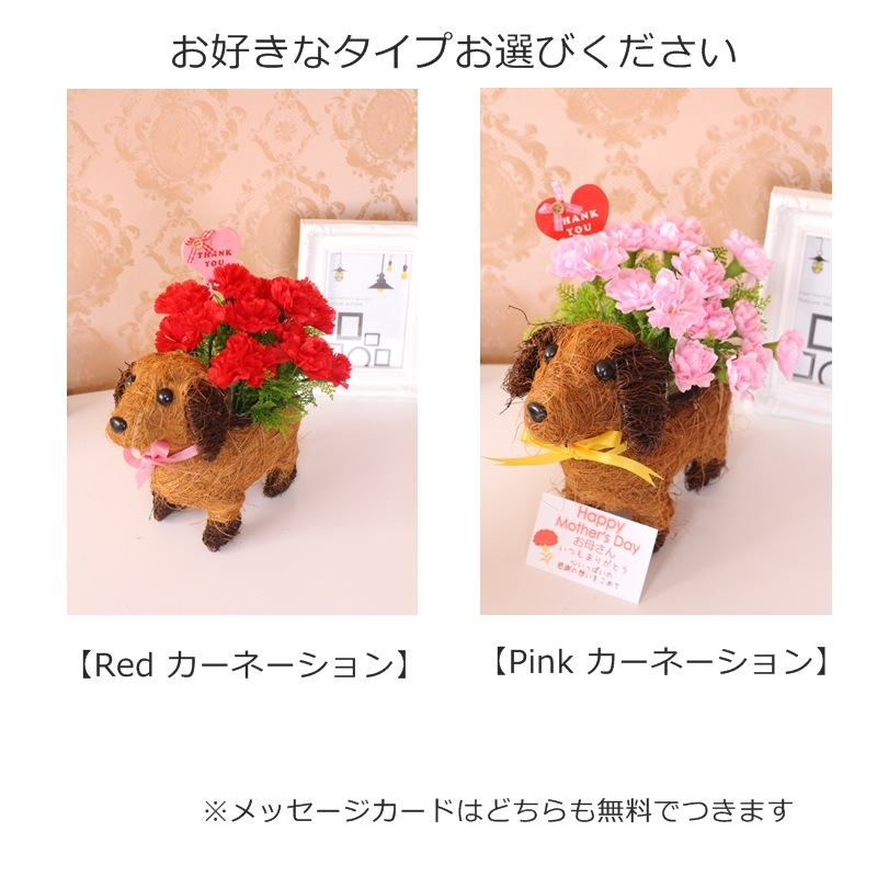 母の日ギフト 送料無料/母の日/造花/ワンチャンアレンジメント/可愛い/カーネーション/贈り物/お花/ペット/選べる2カラー/母の日ギフト/アーティシャルフラワー/カーネーション/鉢/お手入れ不要/ワンチャンバスケット