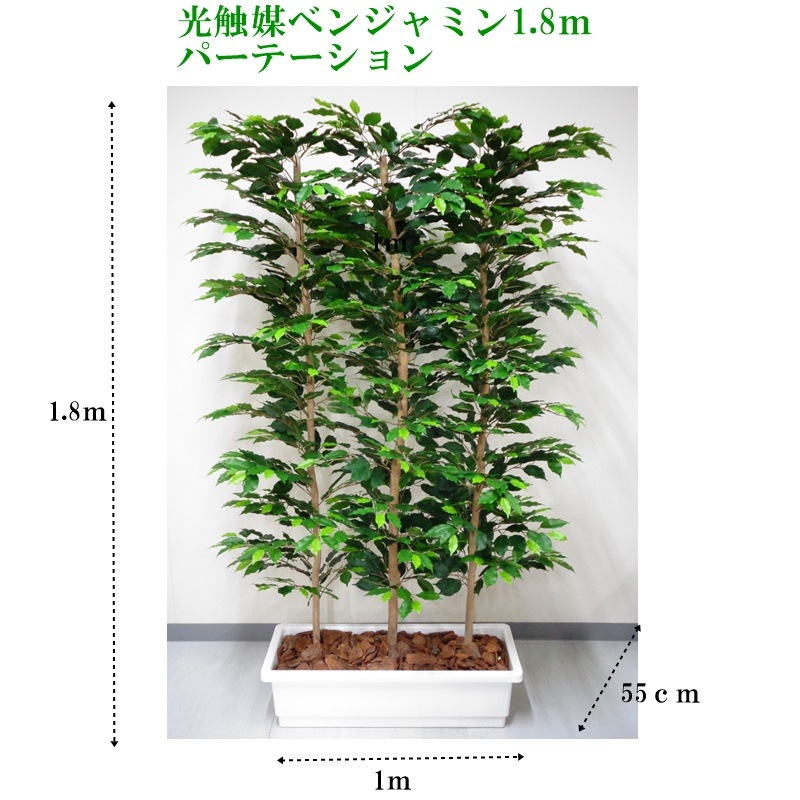 人工ベンジャミン植物、高さ1.8m、オフィス、展示場、イベント会場用