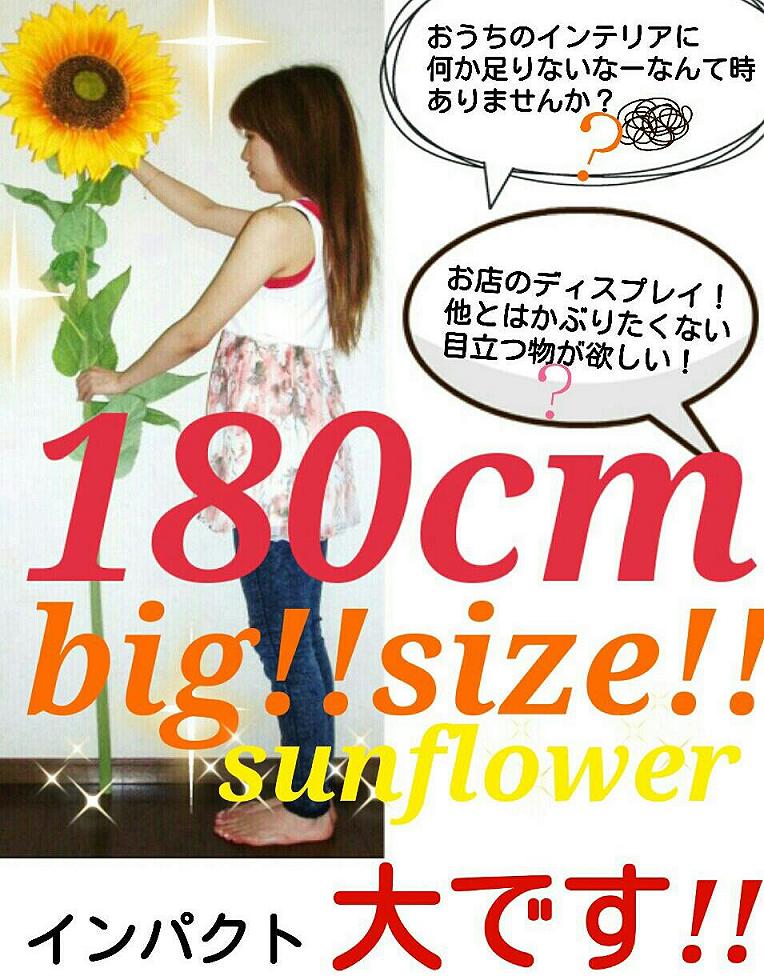 送料無料/ひまわり/造花 ひまわり/人気/インテリア 180cm/造花 夏の花/元気いっぱい/可愛い/1.8/ディスプレイ/装飾/夏/店舗ディスプレイ/お店/海/海の家/イベント/