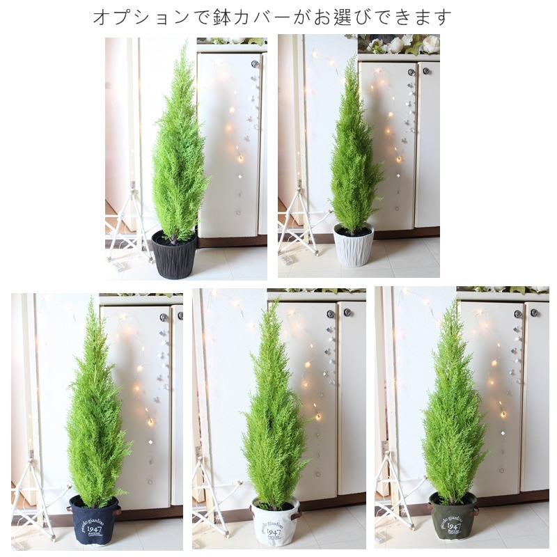 屋外使用可能/フェイクグリーン/お祝い/新居祝い/出店祝い/開店祝い/開院祝い/引っ越し祝い/natural/お手入れいらず/造花/ゴールドクレスト/フェイク/人工観葉植物/最安値に挑戦/可愛い/tree/ツリー/ラッピング無料 /大量注文可能/領収書発行/ゴールドクレスト/人気観葉植物