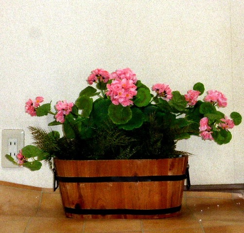 【ゼラニューム】人工観葉植物【ゼラニュームプランター】【造花】【触媒加工】【フェイクグリーン】【オフィスグリーン】【送料込み】【2色よりお選びください】