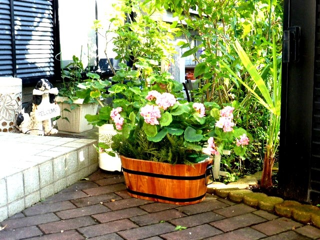 【ゼラニューム】人工観葉植物【ゼラニュームプランター】【造花】【触媒加工】【フェイクグリーン】【オフィスグリーン】【送料込み】【2色よりお選びください】