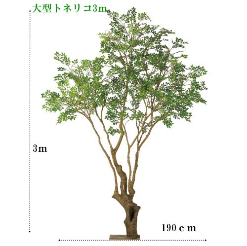 人工観葉植物 大型トネリコ3m 送料込み アスカ商会アイテム