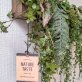 人工観葉植物 壁面緑化 グリーン壁壁掛け 触媒加工品 送料無料 by 造花の専門店 キツツキ