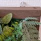 人工観葉植物 壁面緑化 グリーン壁壁掛け 触媒加工品 送料無料 by 造花の専門店 キツツキ