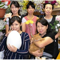 人工観葉植物 壁面緑化 グリーン壁壁掛け 触媒加工品 送料無料 by 造花の専門店 キツツキ