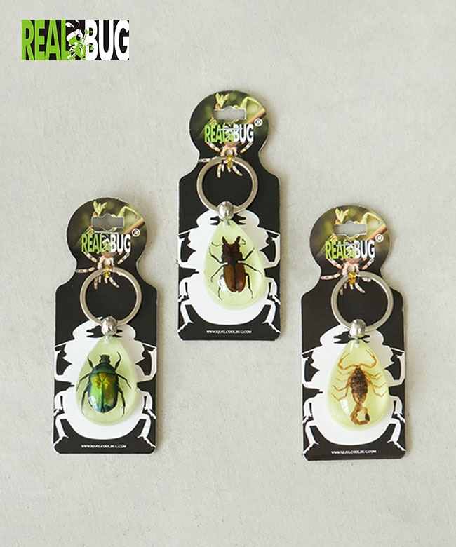 OUMUPO KRUSH HIDE STEINER ROB SWIFT 希少品 YK603/4/6]REAL BUG(リアルバグ) GOLDEN SCORPION / STAG BEETLE
