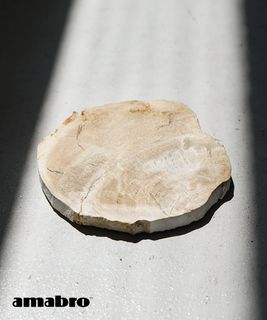 amabro(アマブロ) WOOD COASTER ウッドコースター 木製 天然素材 ペトリファイドウッド [0764]
