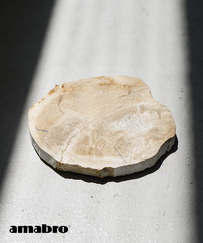 [0764]amabro(アマブロ) WOOD COASTER ウッドコースター 木製 天然素材 ペトリファイドウッド