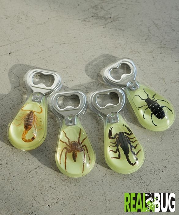 [BO301/2/5/6]REAL BUG(リアルバグ) Magnetic Bottle Opener マグネット式ボトルオープナー