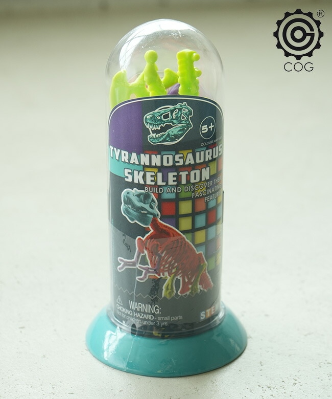 廃盤★スワロフスキー★ディノサウルス EIN-O SCIENCE(アイノー・サイエンス) TYRANNOSAURUS SKELETON T-REX